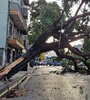 Caída de árbol en Villa Luro en las calles Juan B Justo y Lope de Vega. (Fuente: Bernardino Avila)