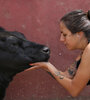 Malena con Save, una vaca rescatada del matadero de Morón, en Santuario Equidad.  (Fuente: Martina Zamudio)