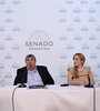 La Comisión de Asuntos Constitucionales abrió el debate, que seguirá con la exposición de expertos.