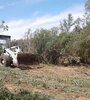 La topadora arrasó con bosque nativo.