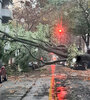 El fuerte temporal causó estragos en la Ciudad y la Provincia de Buenos Aires por la enorme cantidad de calles inundadas y árboles caídos. (Foto: NA)
