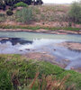 Esta semana se viralizaron imágenes del arroyo contaminado.