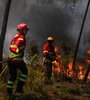 Los bomberos en su lucha a pleno en los bosques lusitanos. (Fuente: AFP)