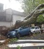 En Villa Crespo un árbol cayó sobre un auto estaionado.