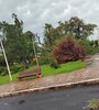 Temporal en Corrientes: los videos de los destrozos en Bella Vista (Fuente: Dirección Provincial de Energía de Corrientes)