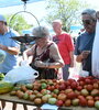 "El tomate platense es insuperable en materia gustativa”, afirma Juan José Garat.