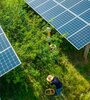 Los paneles fotovoltaicos lideran, por lejos, la transición hacia las renovables. (Fuente: AFP)