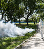 Ante la invación de mosquitos, los municipios avanzan con la fumigación. 