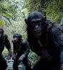 En el film, los primates ya son amos y señores del mundo.