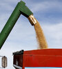 Las exportaciones de granos de 2024 equipara al 2023, año de la sequía (Fuente: NA)