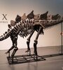 Los 44,6 millones pagados superan ampliamente al de "Stan", un esqueleto de T Rex, que alcanzó en octubre de 2020 los 31,8 millones de dólares (Fuente: AFP)