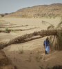 Un oasis devastado por el cambio climático (Fuente: AFP)