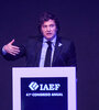 Javier Milei disertando en el 41 Congreso anual de la IAEF (Fuente: NA)