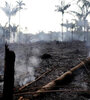 Entre el 1º de enero y el 18 de agosto se registraron 71497 focos de incendio en el país, más de la mitad en Amazonia.