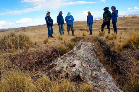 Un árbol fósil reconfigura el paisaje de los Andes de hace 10 millones de años 