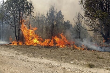 Incendios forestales en cuatro provincias