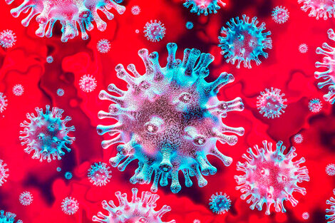 Coronavirus: un estudio revela que la inmunidad contra el virus podría durar muchos años