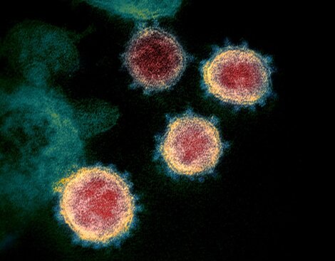 Nueva cepa del coronavirus: ¿Qué significa? ¿Por qué preocupa?