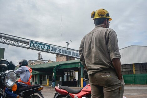 Vicentin: embargan bienes de Algodonera Avellaneda, otra compañía de la cerealera
