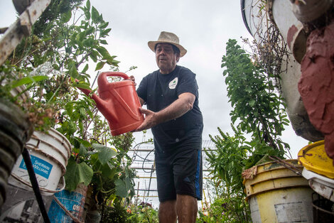 Huertas urbanas: el crecimiento de la agroecología en la Ciudad