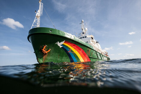 La vida en un barco de Greenpeace: historias de tripulantes que se convirtieron en activistas