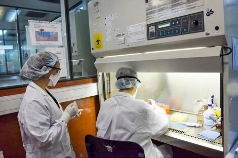 El Ministerio de Salud confirmó 11 nuevos casos de coronavirus