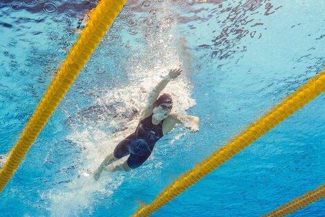 El Mundial de natación pasó para el 2022