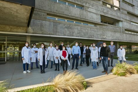 Científicos argentinos diseñan un nuevo kit de diagnóstico rápido de coronavirus
