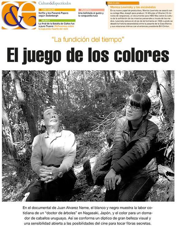 Tapa de suplemento