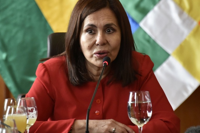 La canciller Karen Longaric dio positivo. (Fuente: EFE)