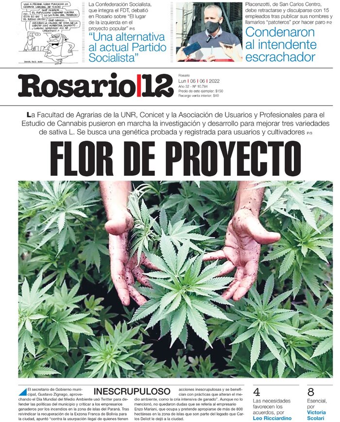 Tapa de suplemento