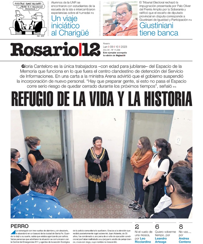 Tapa de suplemento