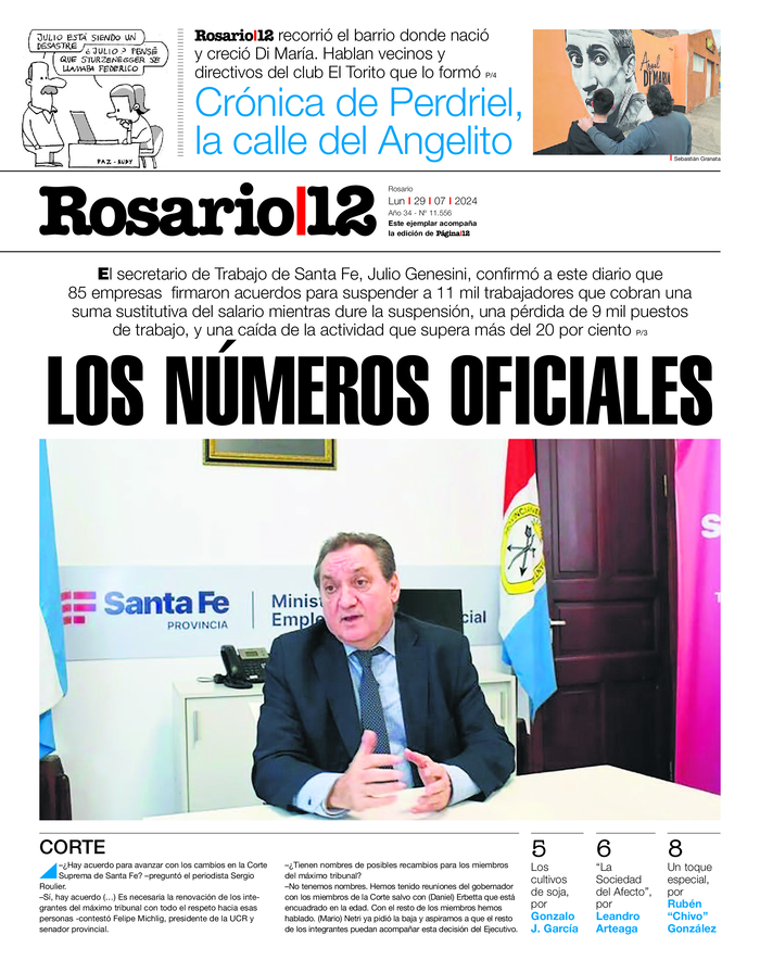 Tapa de suplemento