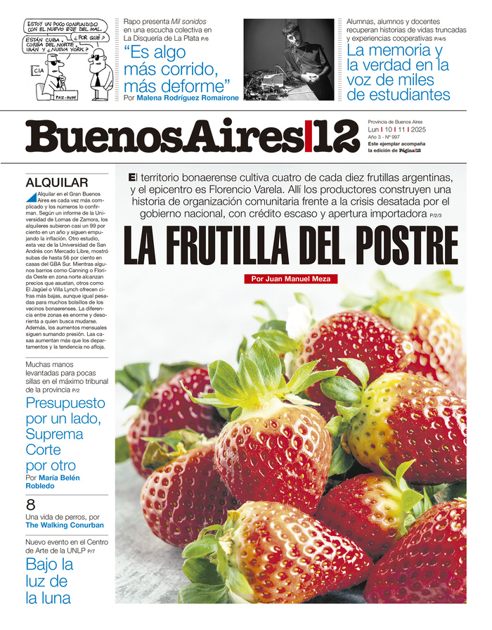 Tapa de suplemento