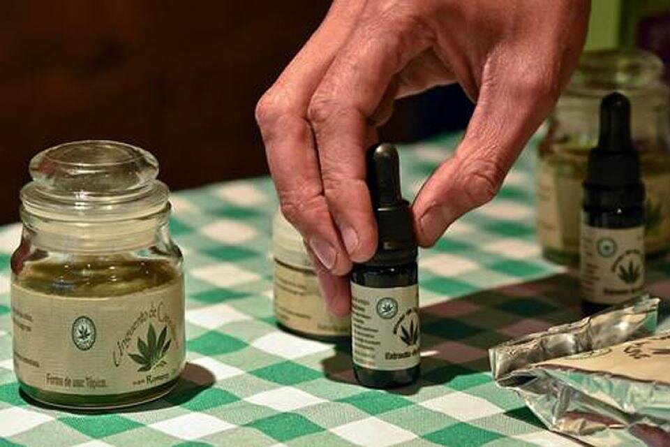 Se habilitó el registro que permite el autocultivo de cannabis medicinal