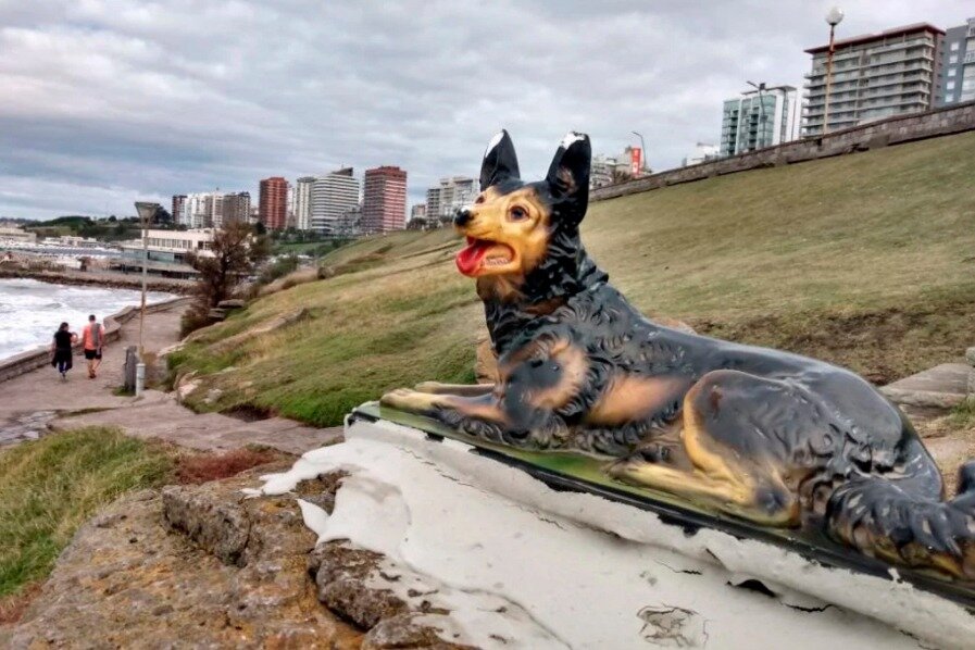 Apareció un “perro” al lado de la estatua misteriosa de Mar Del Plata