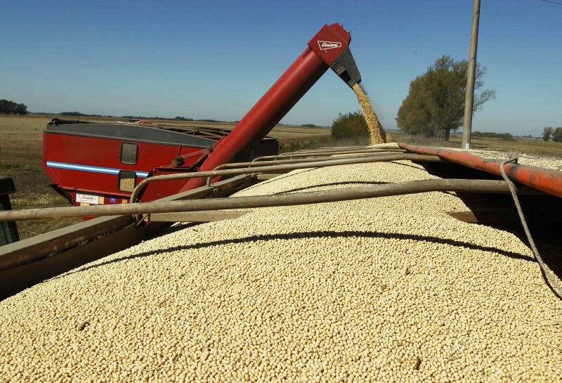 Nuevos controles de la AFIP para el comercio de granos