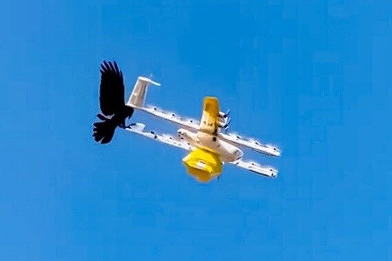 Un delivery de drones suspendió sus servicios tras ser atacado por pájaros
