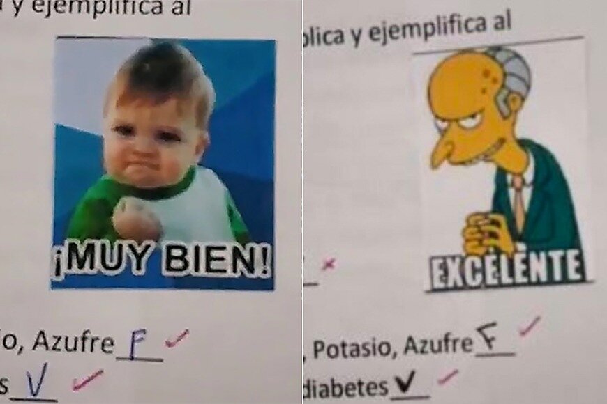 Las correcciones con memes de una docente entrerriana se volvieron virales