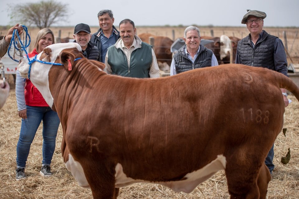 La Rioja tendrá su primer Remate de Cabañas con importantes beneficios para productores ganaderos 1 655044 photo 2022 09 26 08 55 25