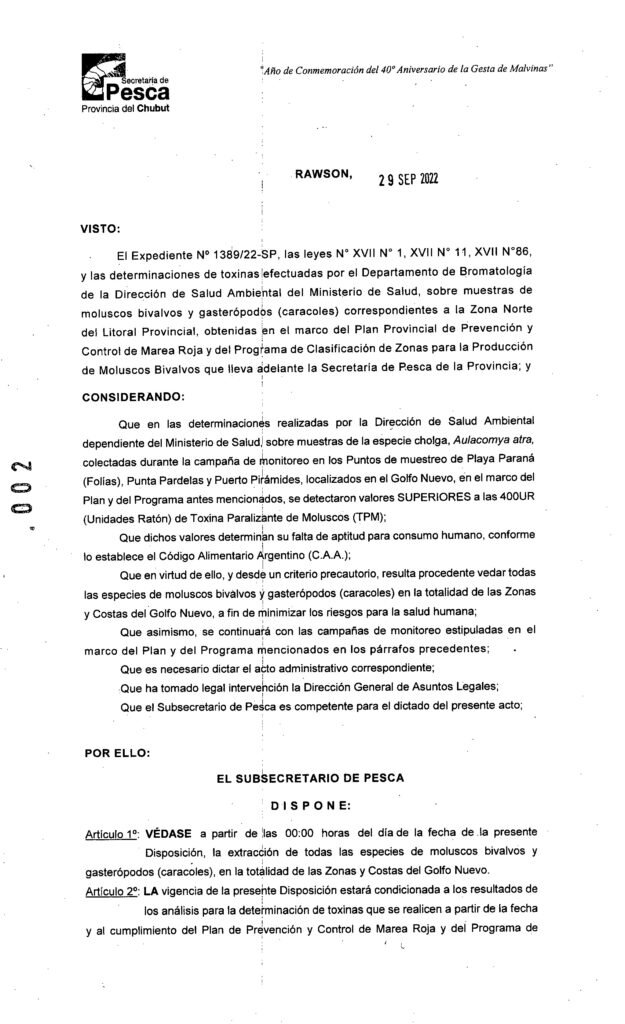 Ballenas muertas en Chubut: la explicación de los expertos y por qué hay preocupación 1 657031 visto0000002a