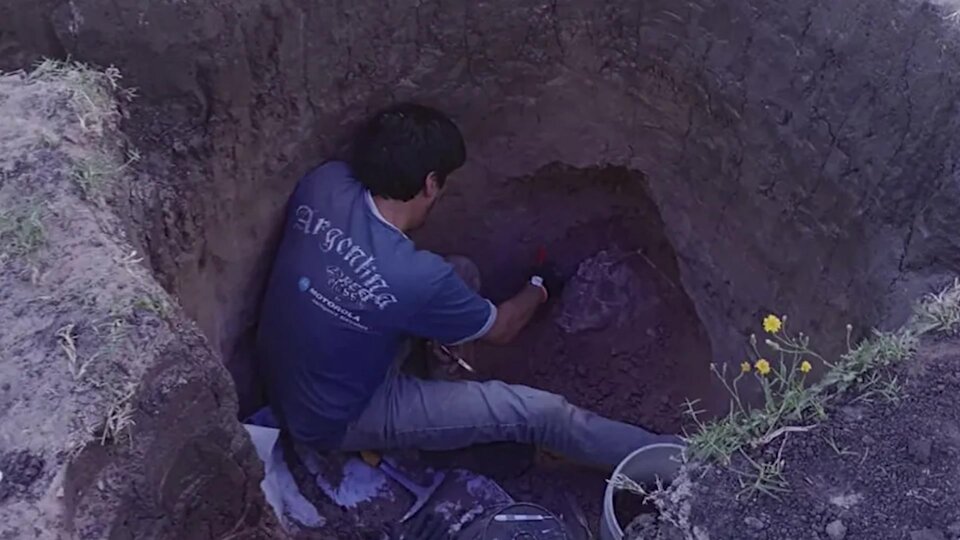 Increíble hallazgo en Necochea: encontraron restos de un 