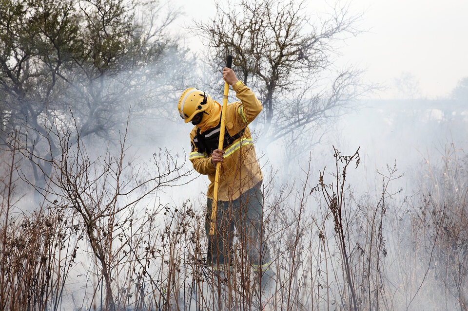 Incendios forestales: cuatro provincias mantienen focos activos