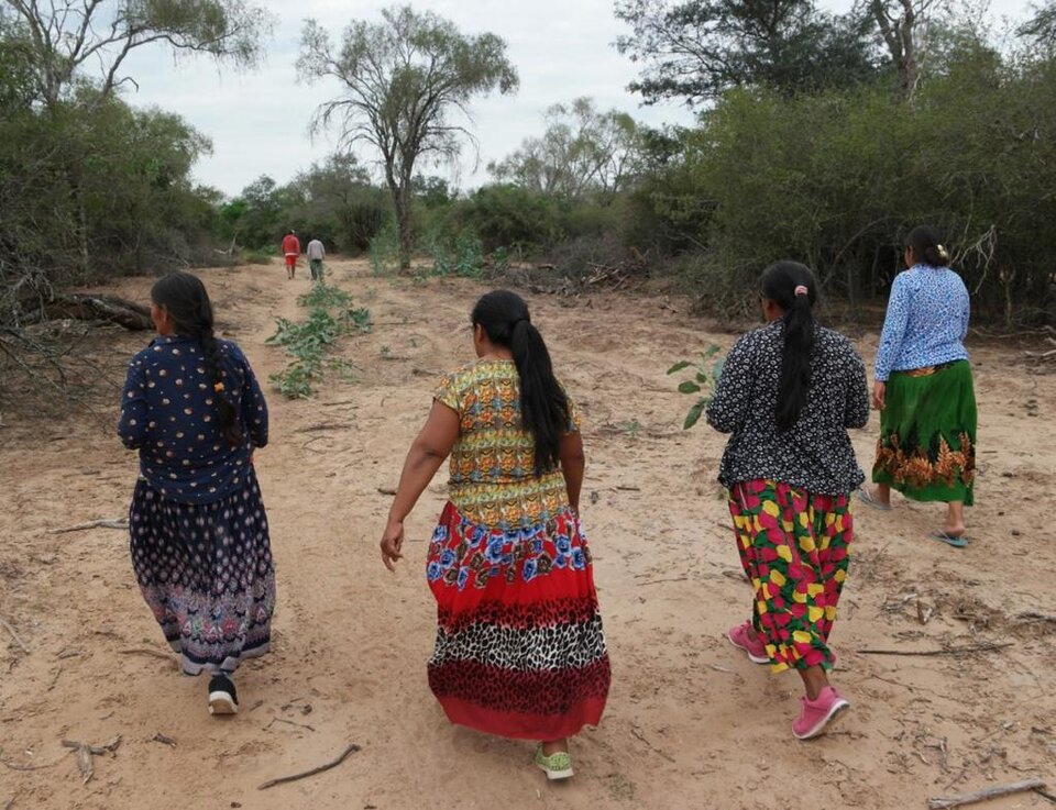 Mujeres indígenas de Salta y la búsqueda de una vida sin violencias
