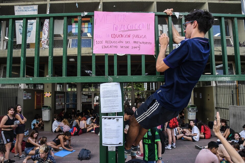 Alacranes: apareció otro ejemplar y fumigaron el Lengüitas sin suspender las clases