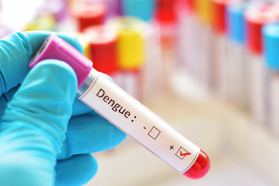 Dengue: en medio de la suba de casos, ANMAT evalúa probar una vacuna japonesa