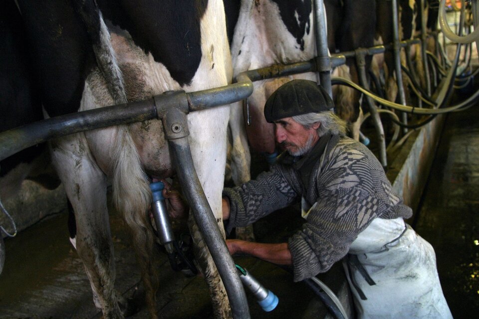 Los productores quedan afuera