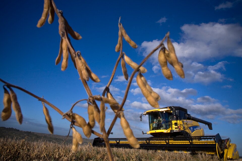 Fuerte caída de agroexportaciones