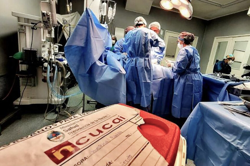 ¿De qué manera se transformó el panorama de la donación de órganos en Argentina?