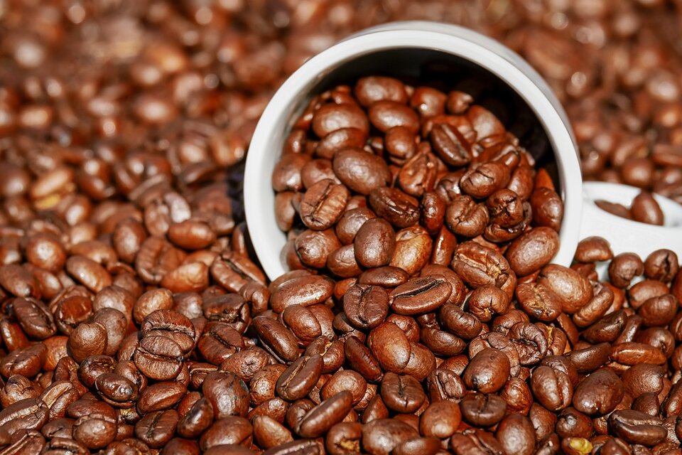 Venezuela inauguró un laboratorio para certificar la calidad de su café